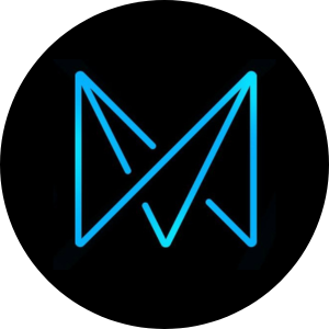 Fast Icon